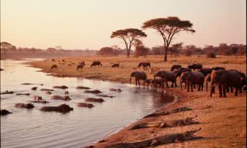 Rezerwat Selous w Tanzanii – safari w absolutnej ciszy i dzikiej naturze