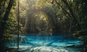 Espiritu Santo w Vanuatu – magiczne błękitne dziury czekające na odkrycie w sercu dżungli